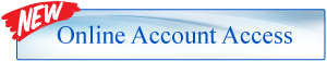 Online Account Access